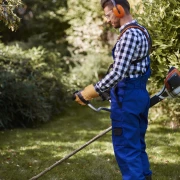 Création de massifs paysagers pour une esthétique florale harmonieuse